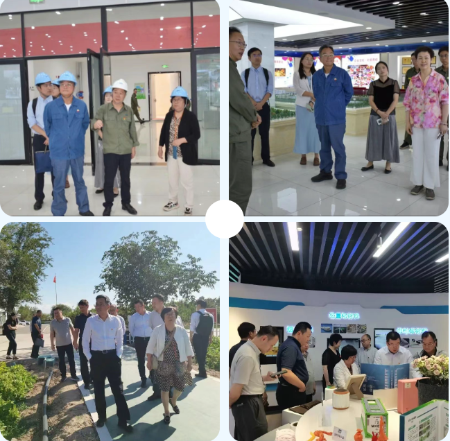 {d40b1c14-87af-401e-a383-5a3f04655127} {d40b1c14-87af-401e-a383-5a3f04655127}