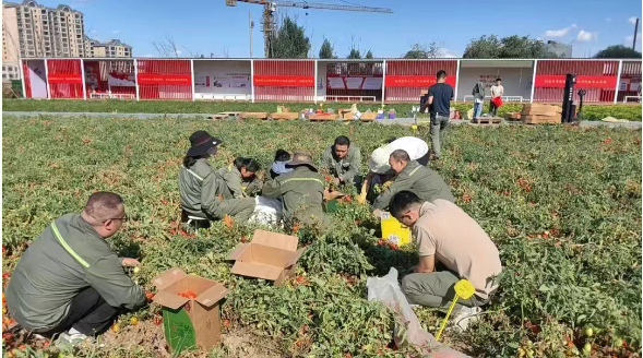 {1370166c-dea4-42e5-80c3-8afbc73d65be} {1370166c-dea4-42e5-80c3-8afbc73d65be}